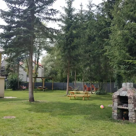 Nostalgia Проживание в семье *