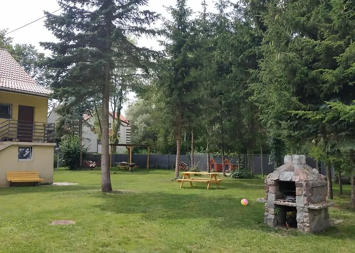 Nostalgia Проживание в семье *